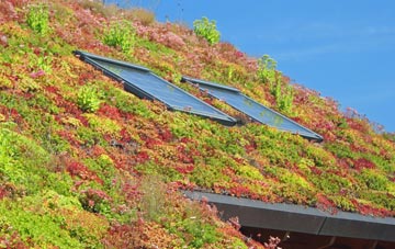 Lower Sapey living roof systems